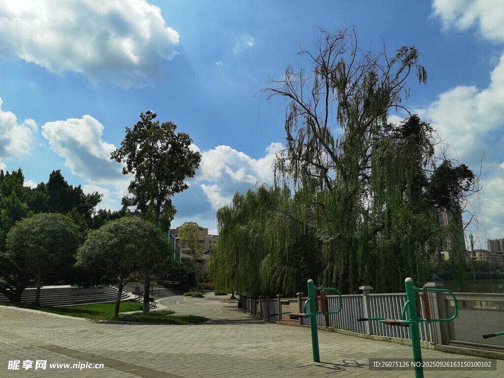 公園休閑場景