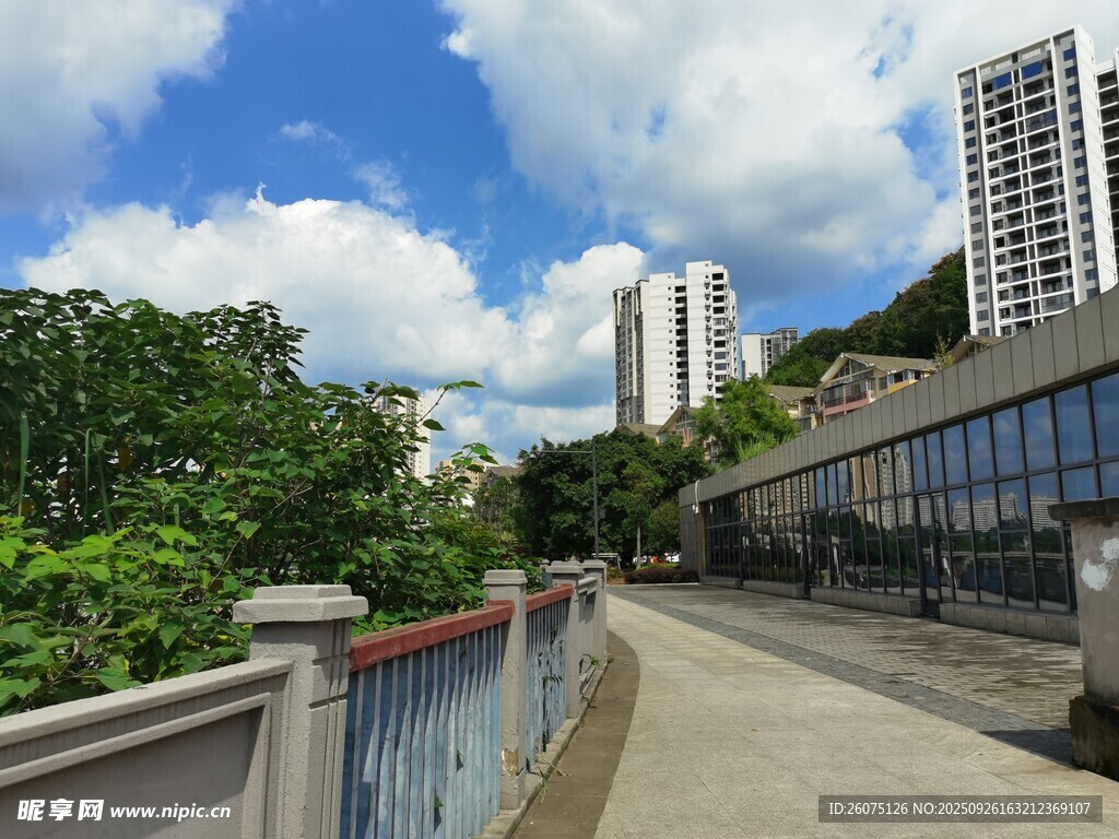 城市林蔭步道與高樓景觀