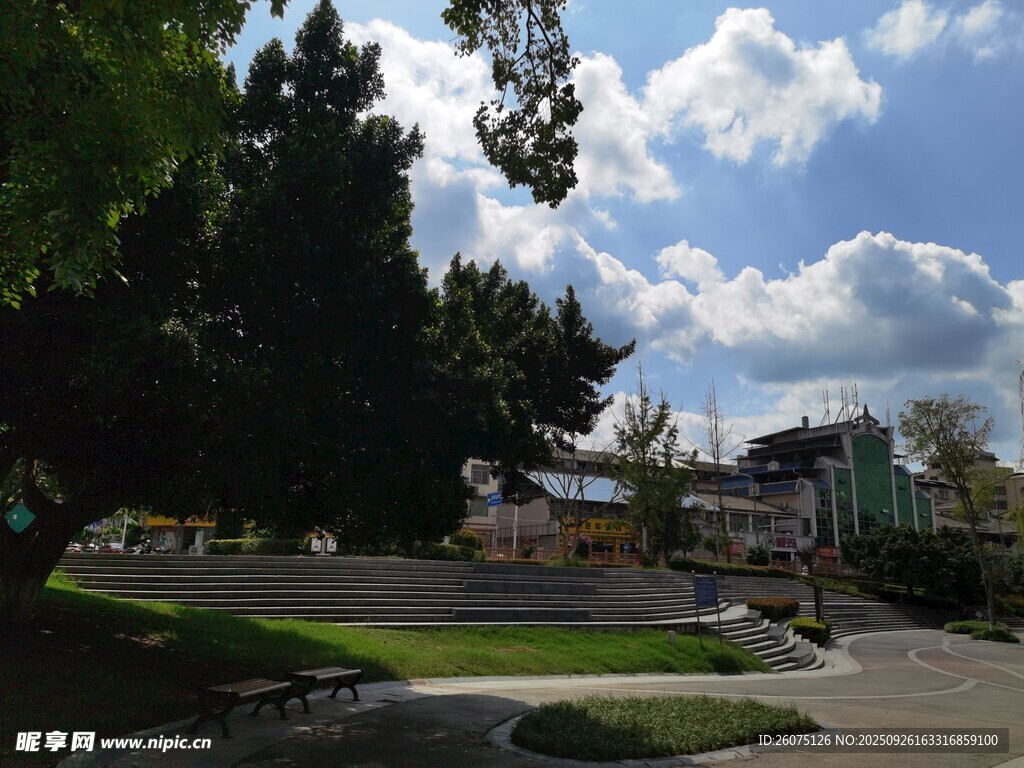 公園美景綠樹藍天相映成趣