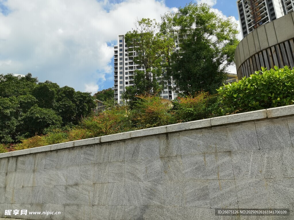 石墻邊的綠植與高樓景觀