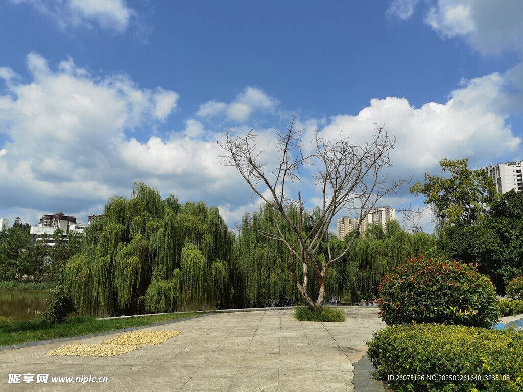 藍(lán)天白云下的園林景致