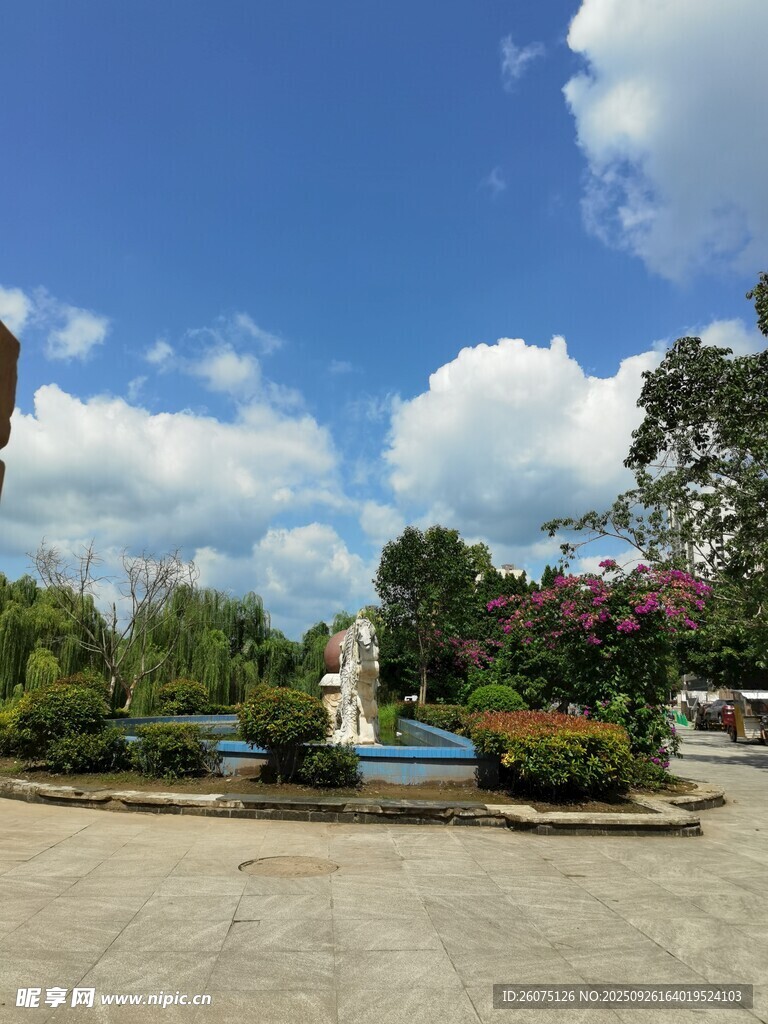 戶外美麗的自然景觀