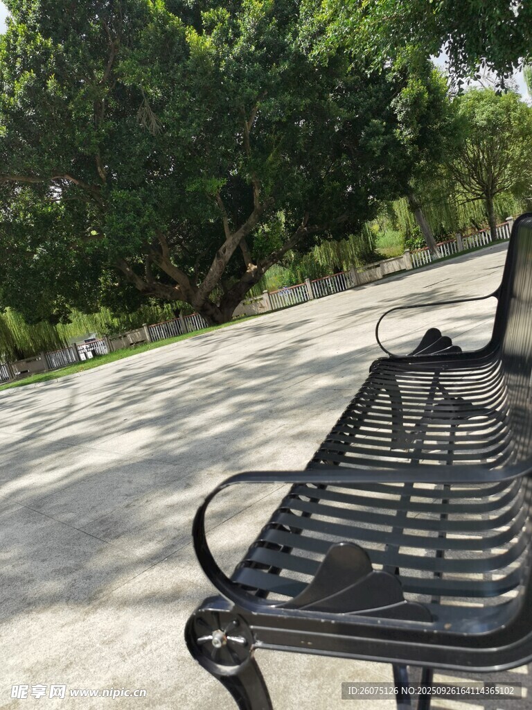 戶外長椅旁的蔥郁綠植