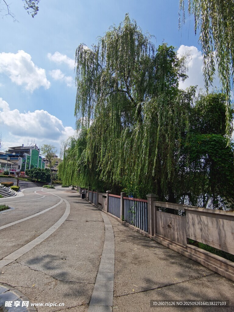 路邊垂柳下的寧?kù)o景致