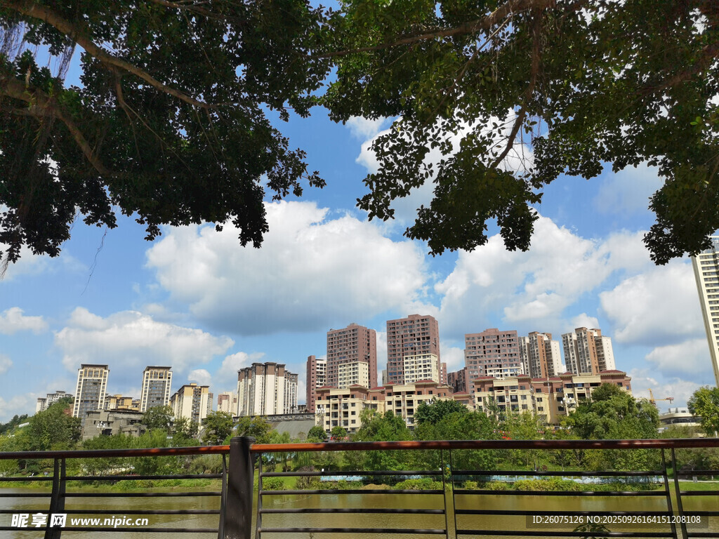 城市天際線與綠樹相映成趣