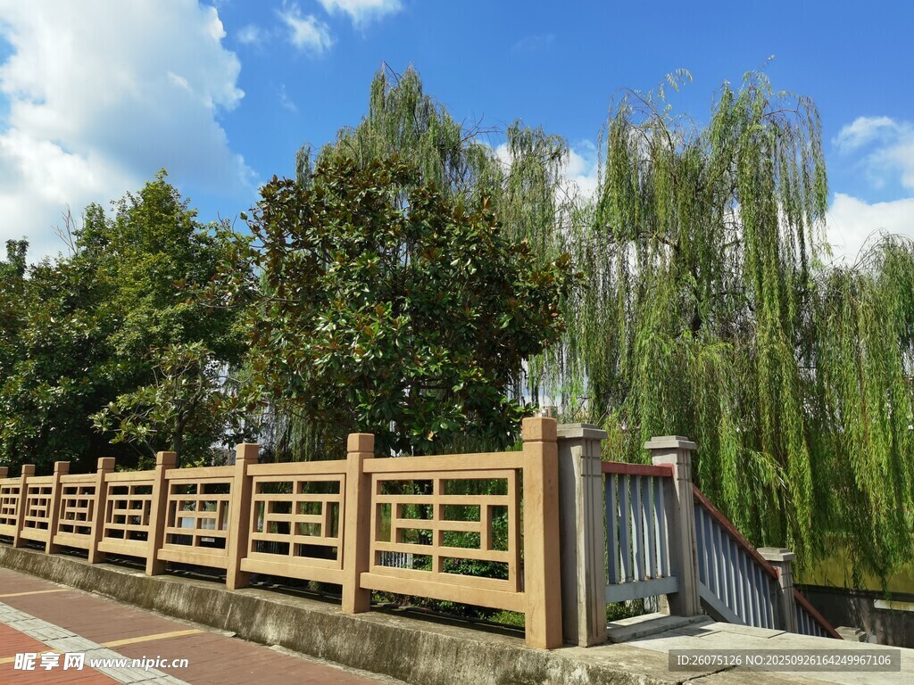 河畔木質(zhì)圍欄與蔥郁樹木