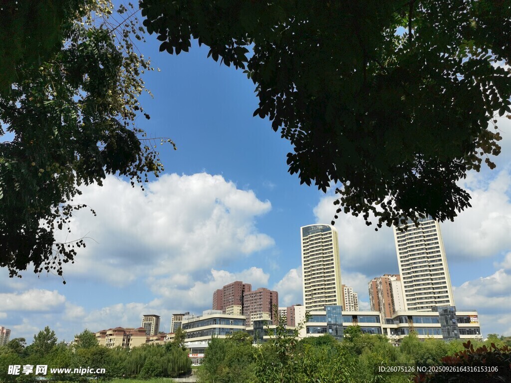 城市天際線與繁茂綠樹景觀
