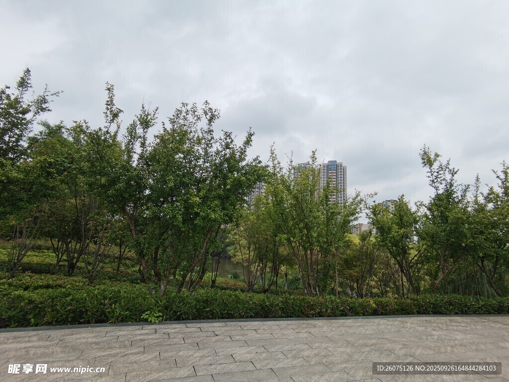 河畔綠植景觀