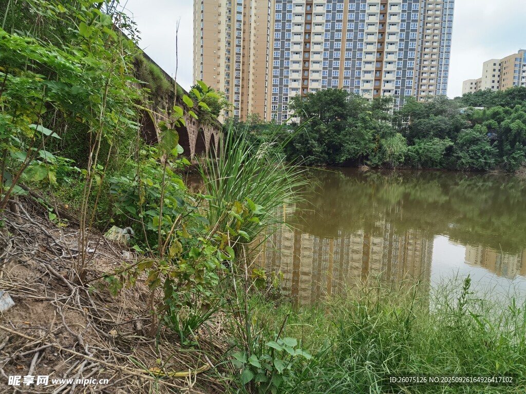 城市邊的自然水域景觀