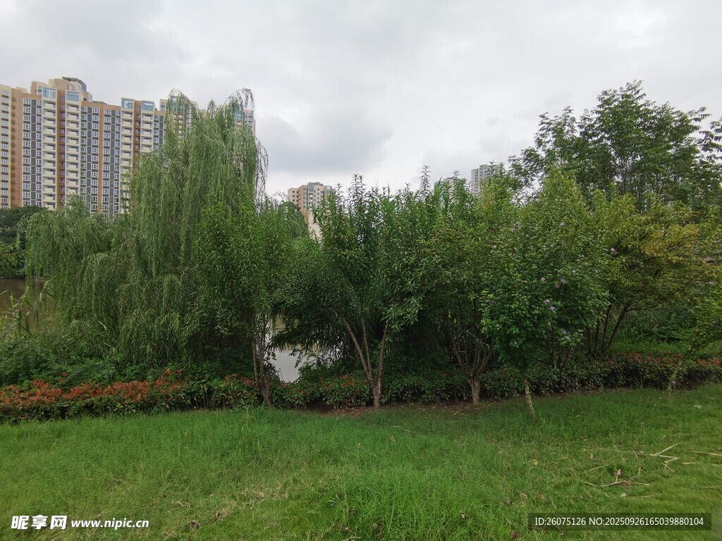城市中的綠意盎然公園景