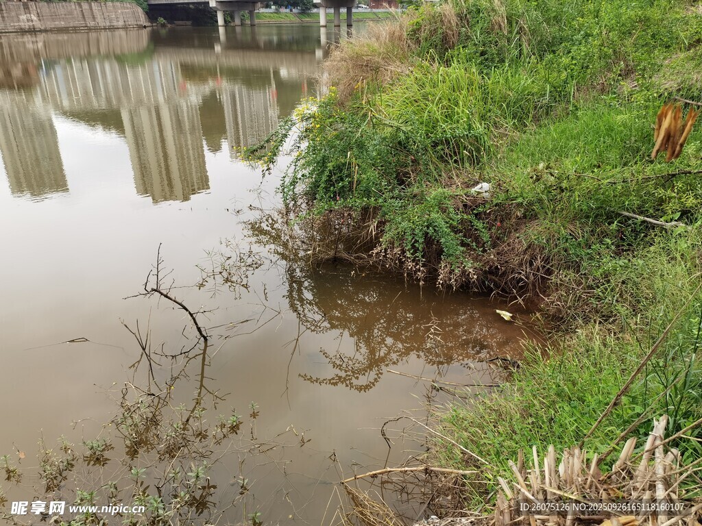 岸邊淺水環(huán)境自然景象