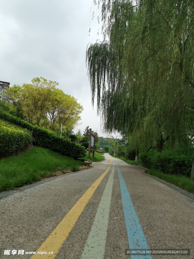 彩色步道旁的蔥郁景致