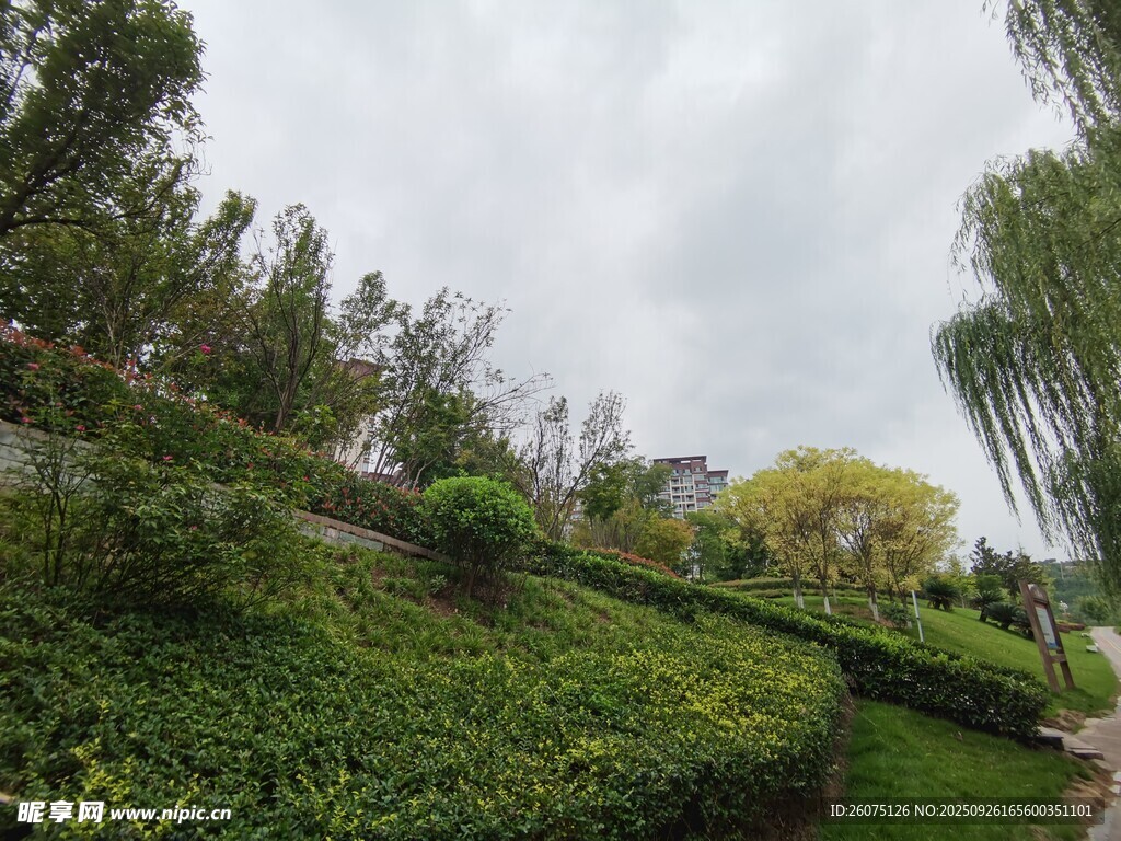 綠意盎然的園林景觀