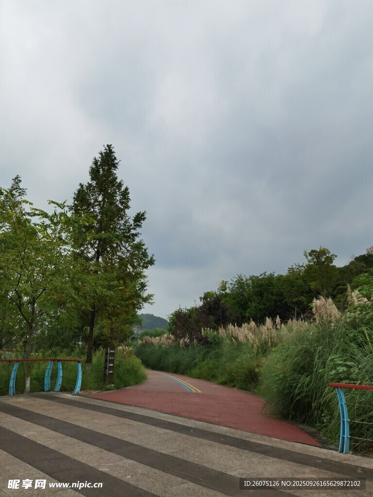 公園中的綠植與步道景觀