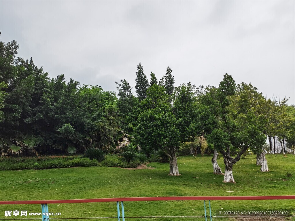 綠意盎然的戶外園林景觀