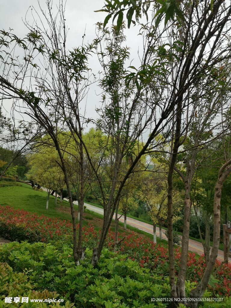 春日園林景觀綠意盎然