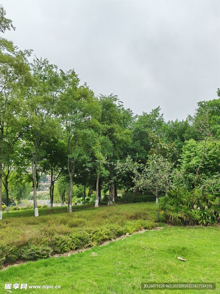 綠意盎然的公園景觀