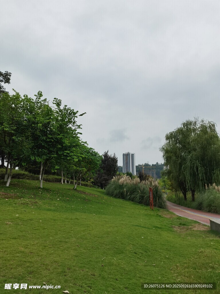 綠意盎然的公園草地景觀