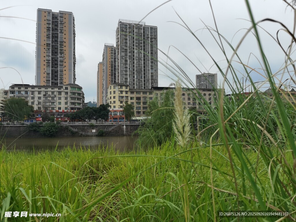 城市草地與高樓景觀