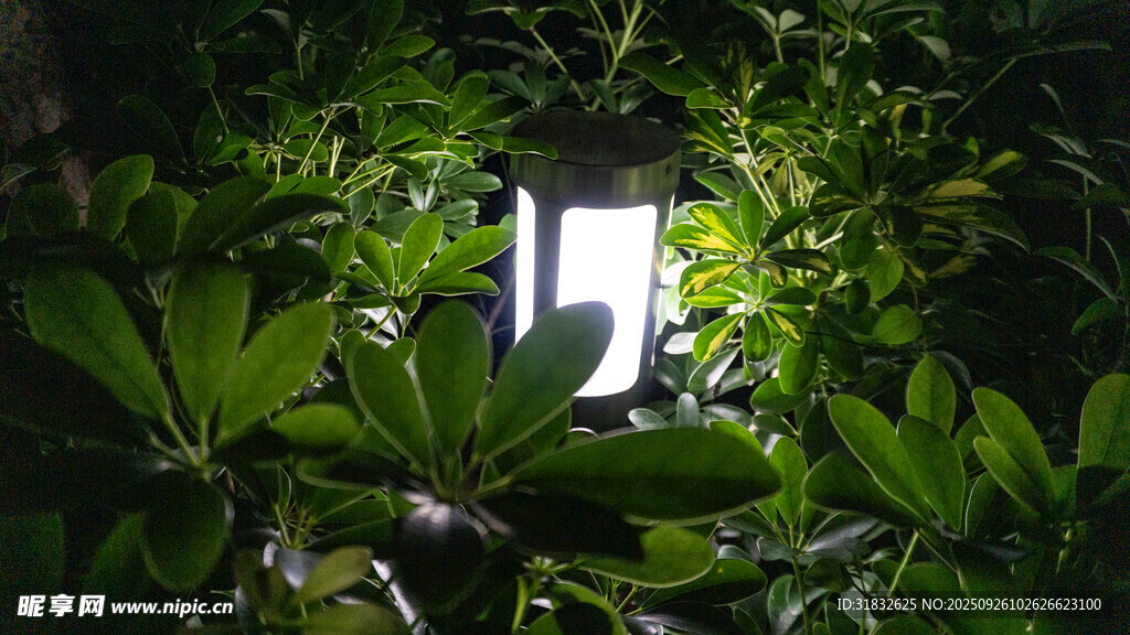 燈光