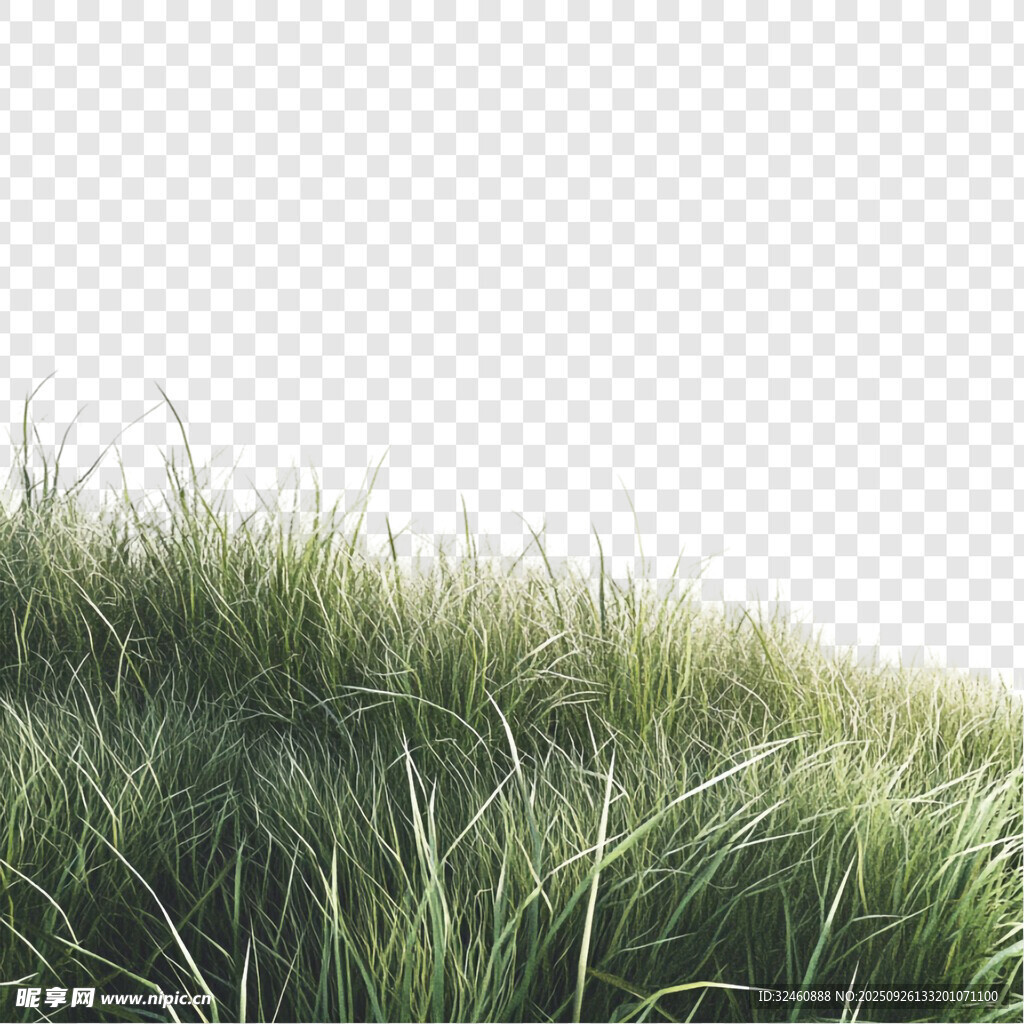 翠綠茂盛的草地
