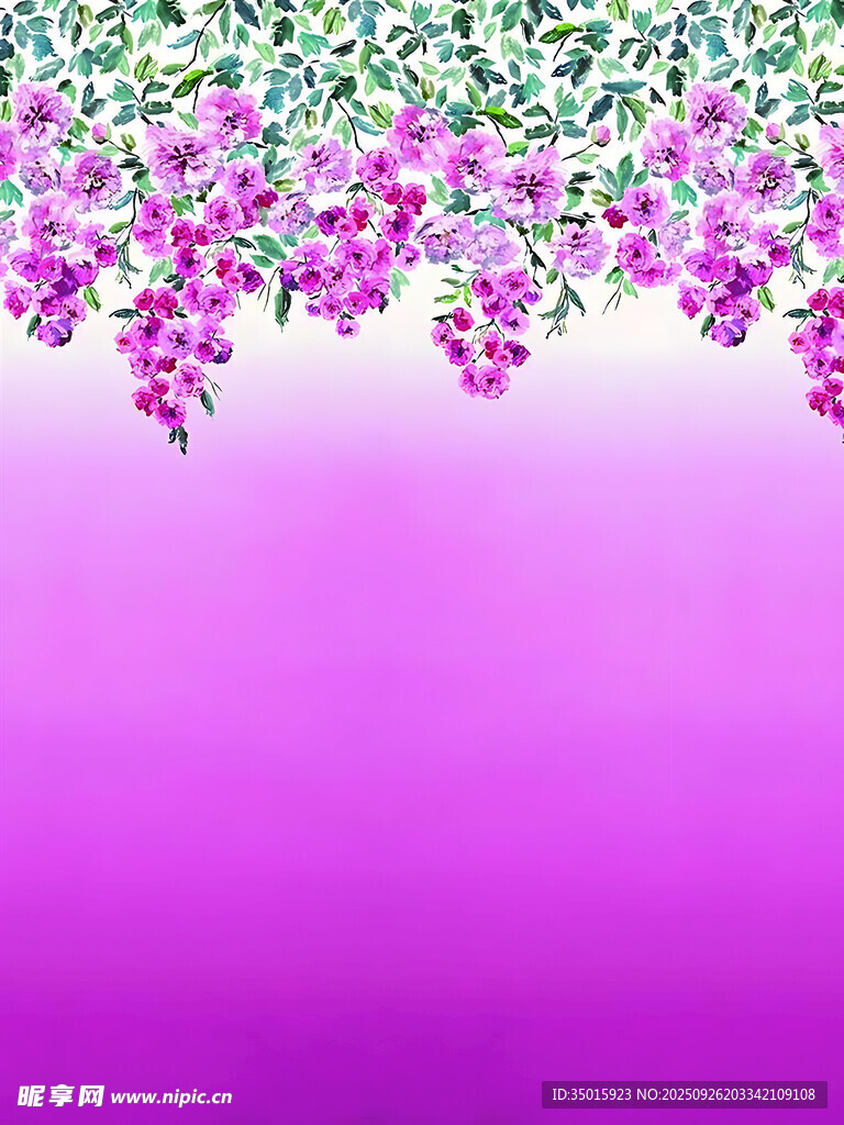 紫色花卉背景圖