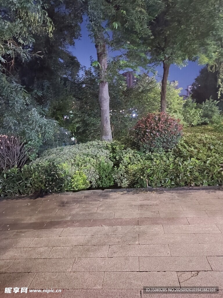 靜謐花園景觀