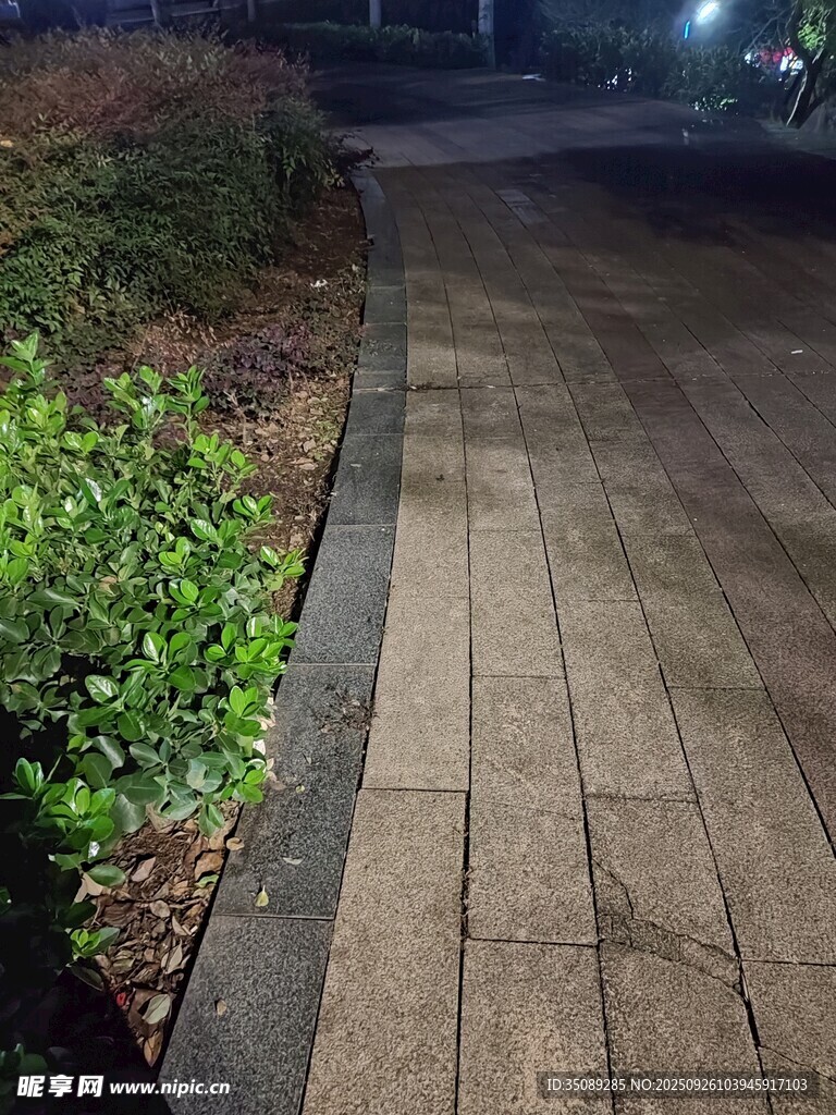 夜晚的靜謐步道