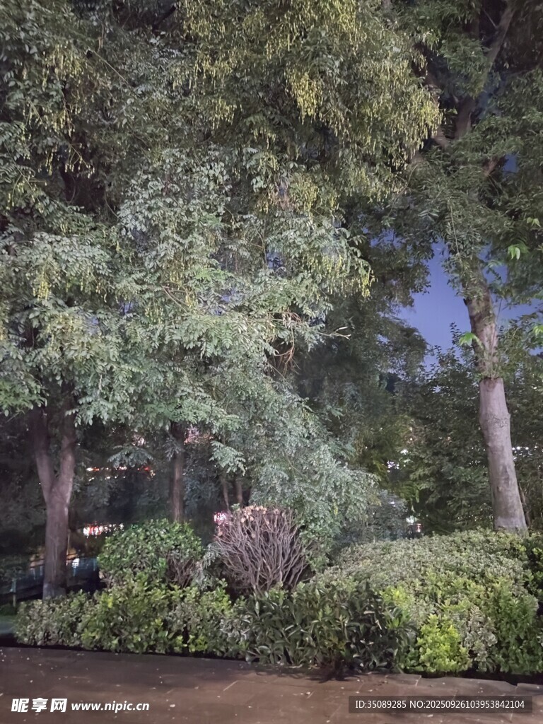 夜晚園林景觀