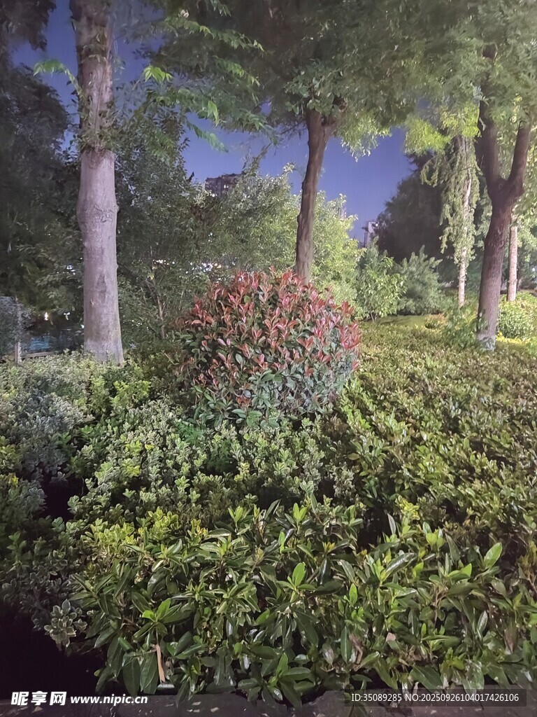 園林綠植景觀