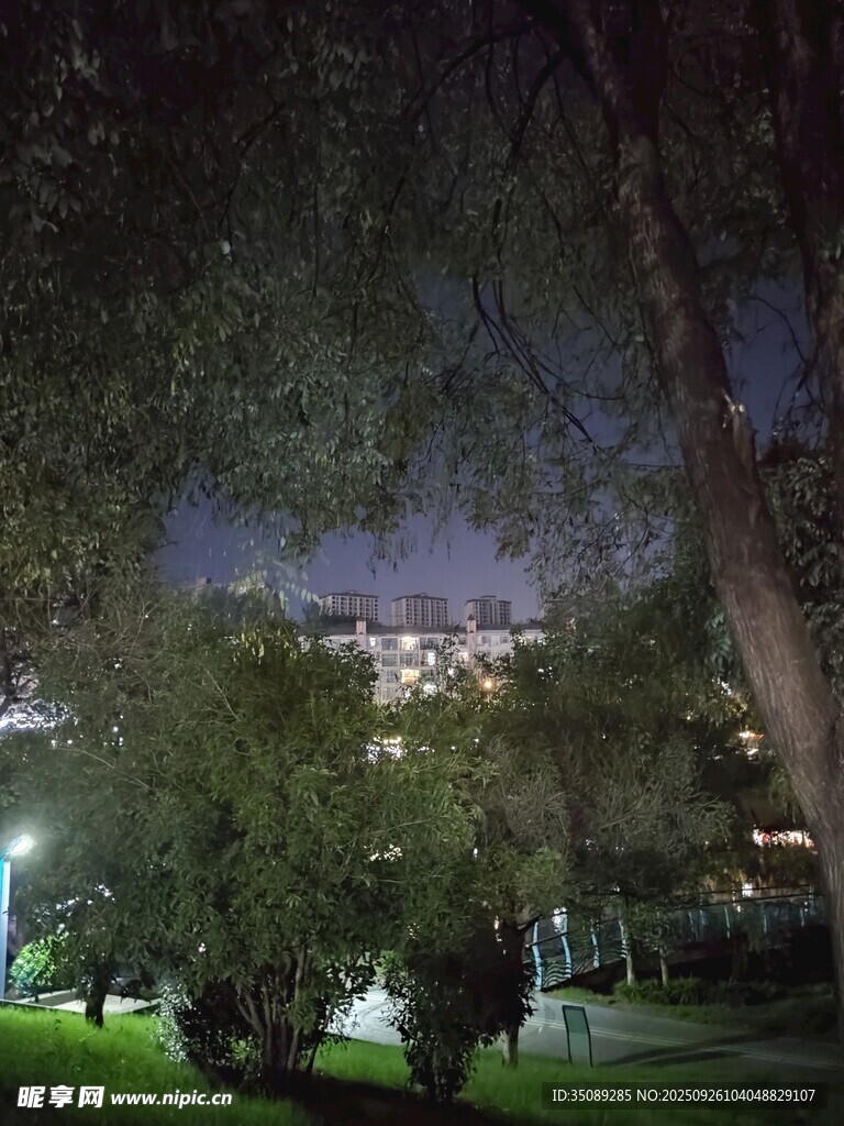 夜晚公園樹木與城市燈火