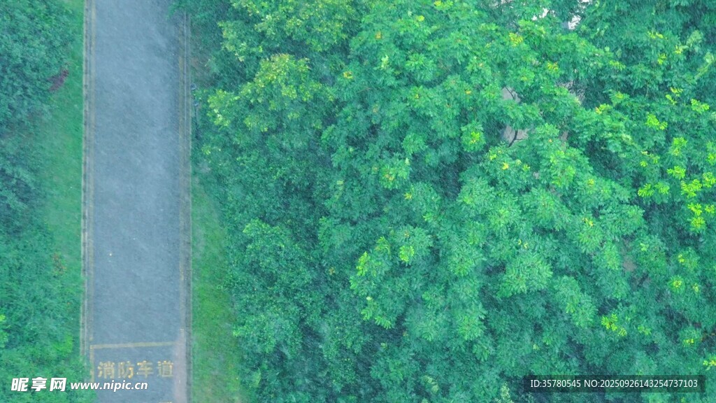 春雨雨滴視頻素材