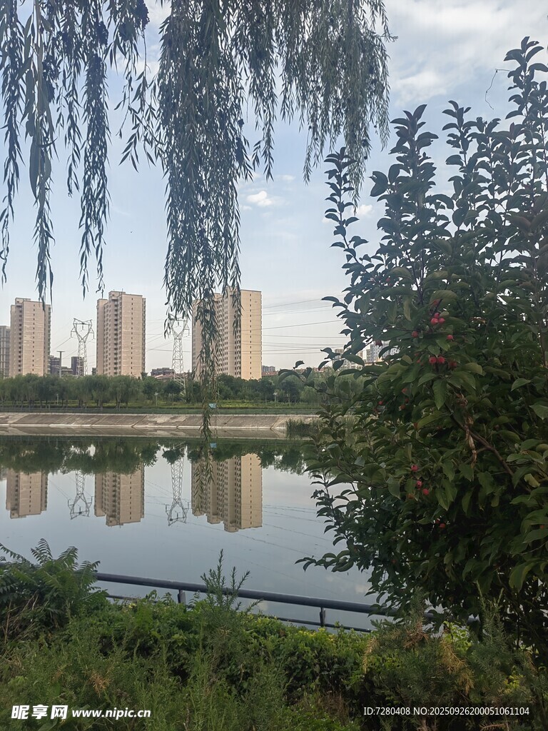 湖畔垂柳映高樓美景