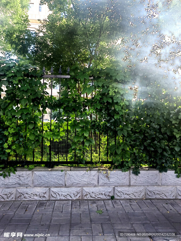 庭院綠植環(huán)繞的靜謐角落