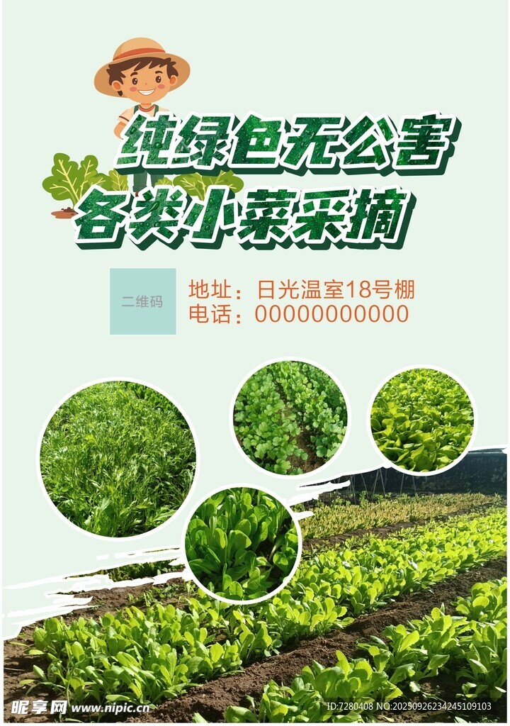 綠色蔬菜種植展示