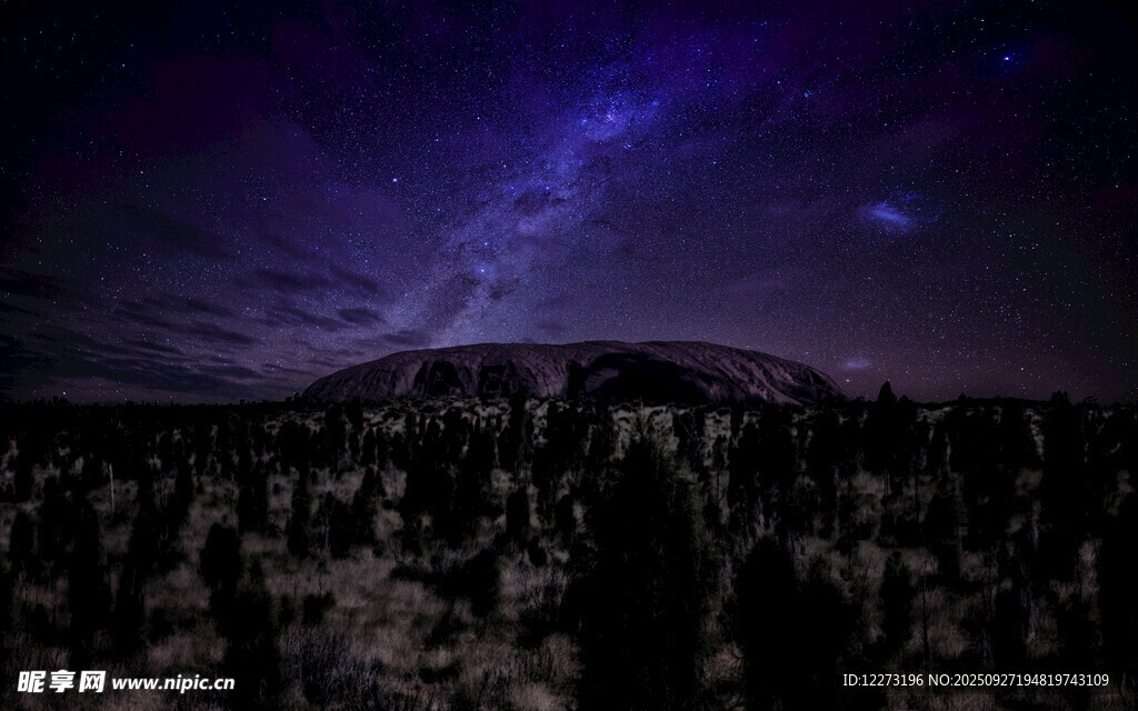 星空下的森林夜景