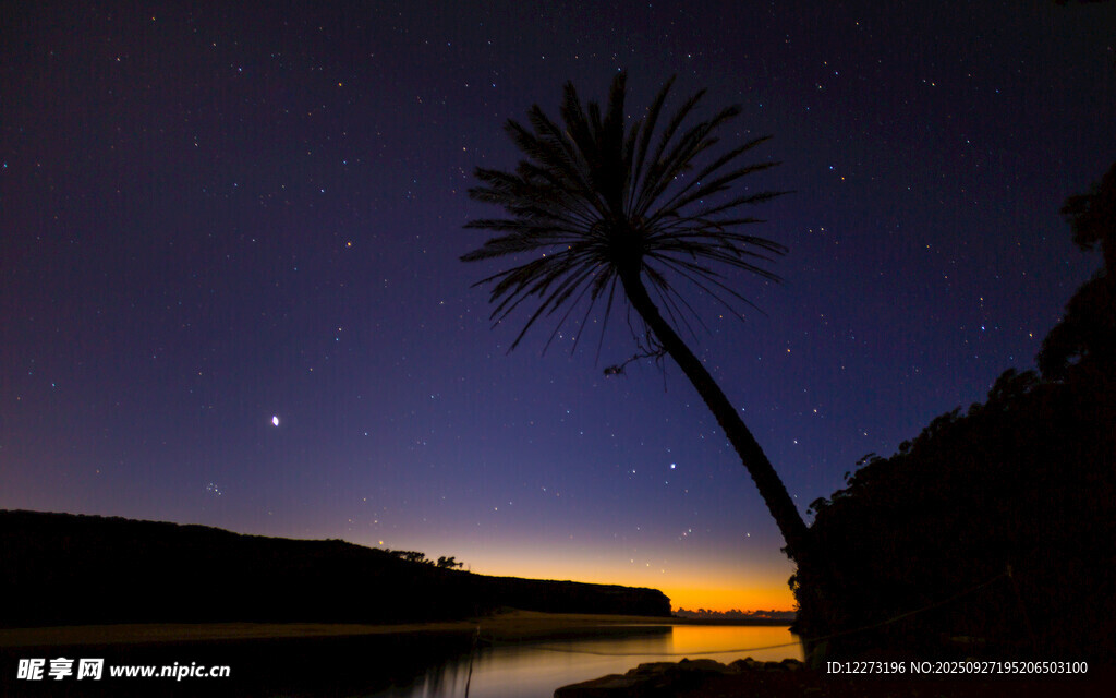 夜幕下的孤樹與湖岸美景