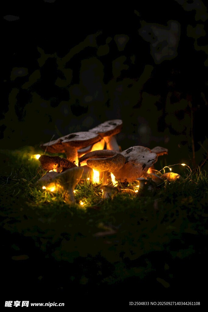 夜幕下溫馨的山間小屋
