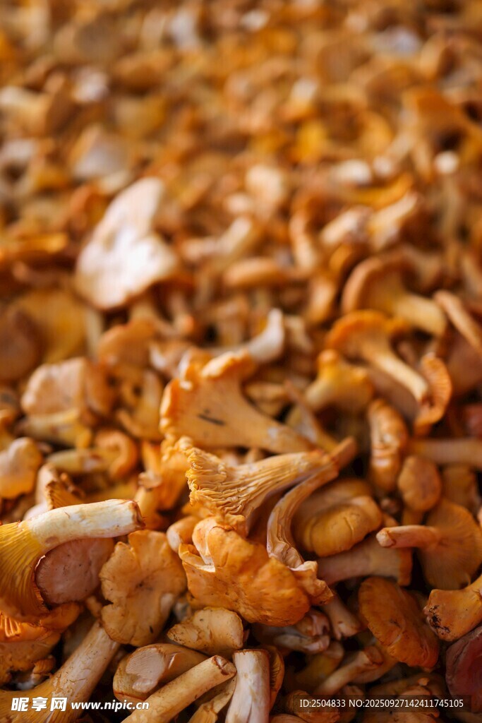 干香菇特寫(xiě)