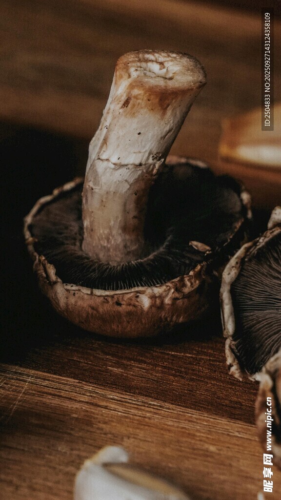木質(zhì)背景上的獨(dú)特蘑菇