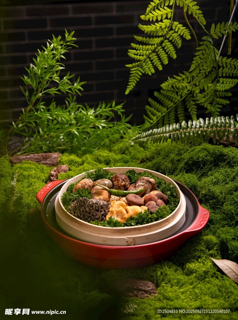 創(chuàng)意綠植盆栽 生機盎然