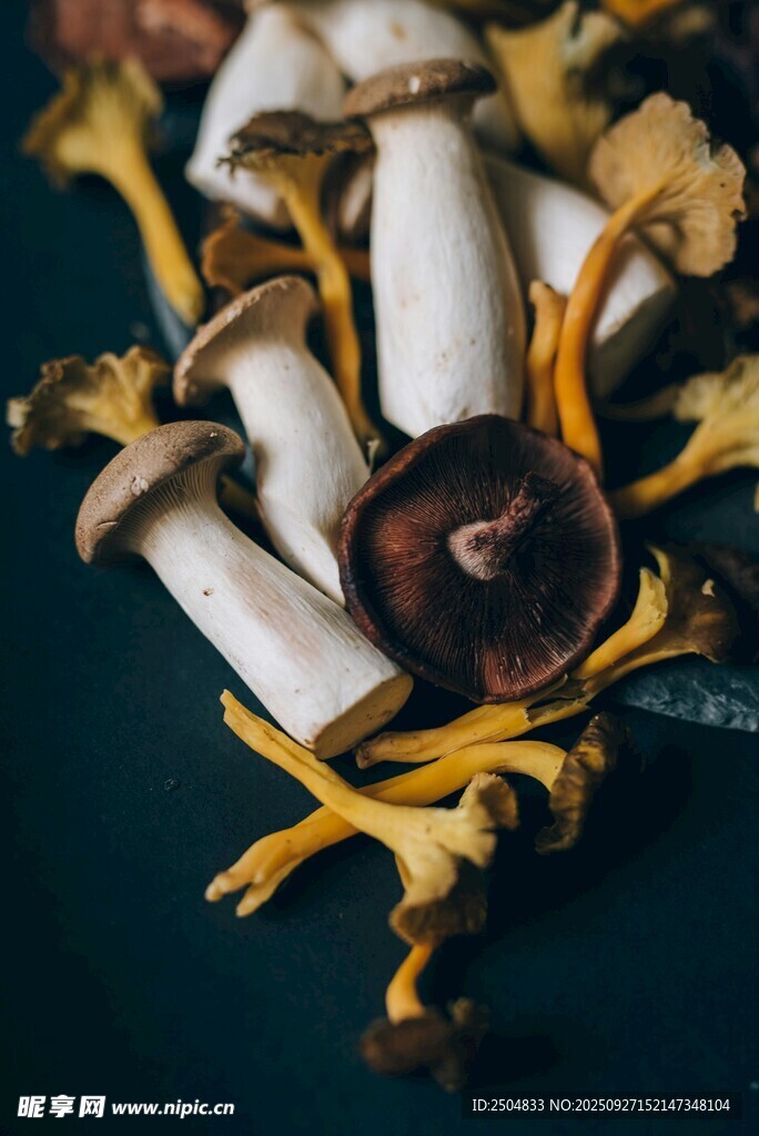 多彩蘑菇特寫
