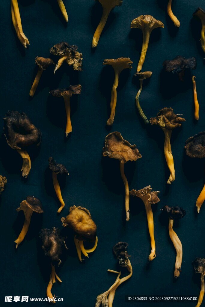 金黃蘑菇特寫(xiě)