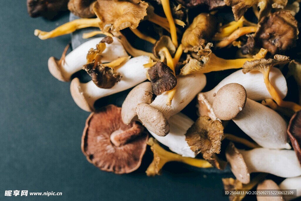 多樣野生菌類集合