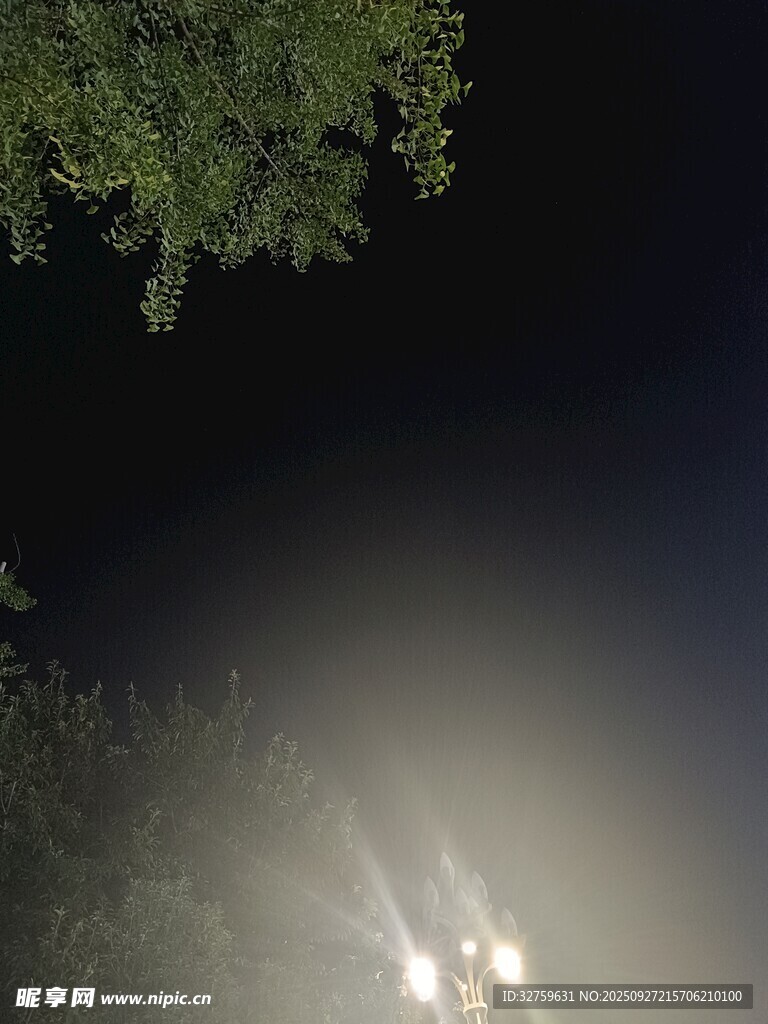 夜晚樹下燈光閃爍景象