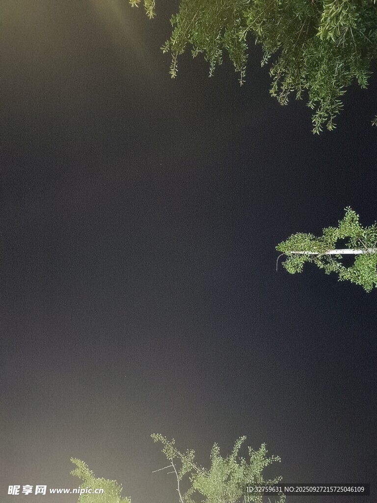 水面倒影綠植景象
