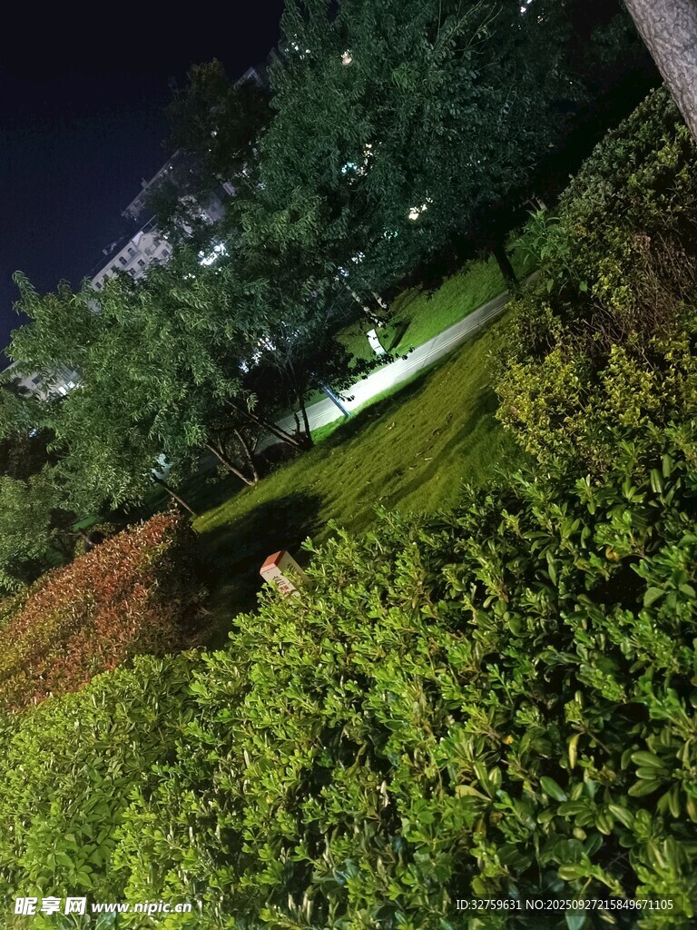 夜晚綠植景觀