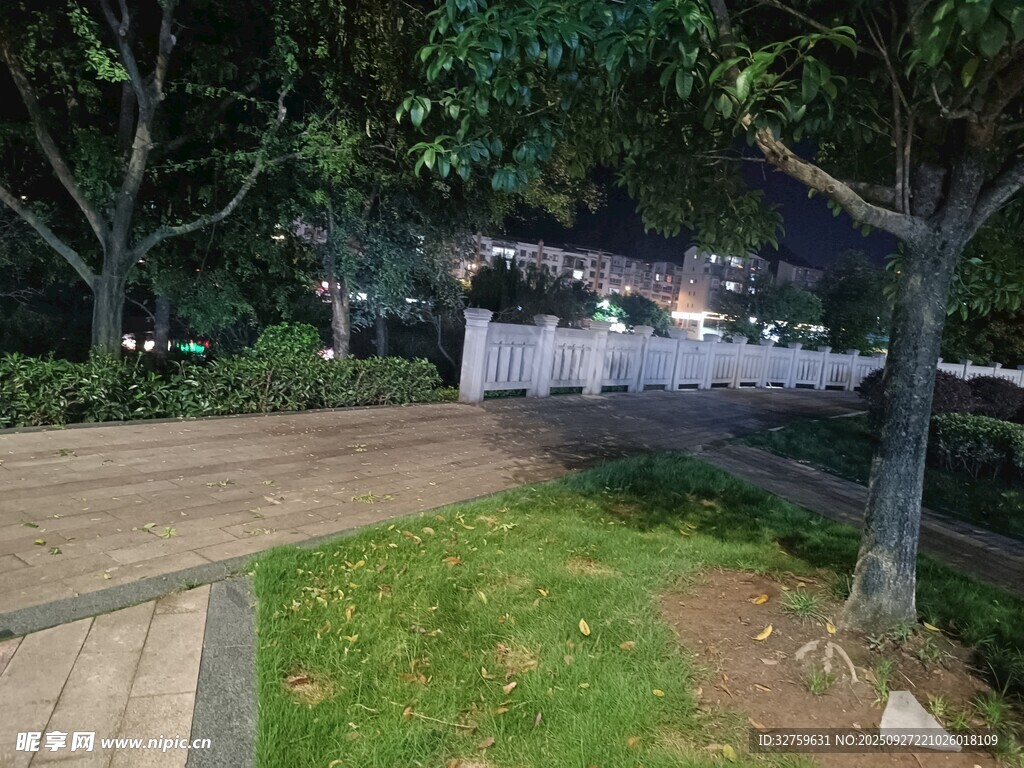 夜晚公園小路景觀