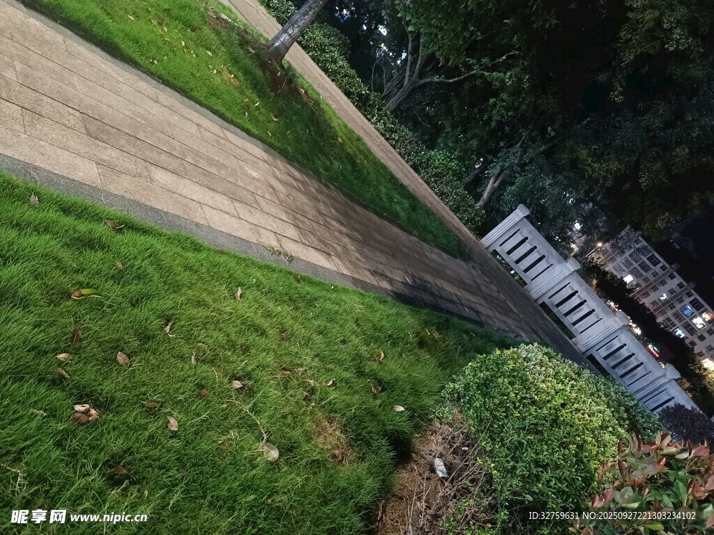 戶外綠意小徑與建筑一角