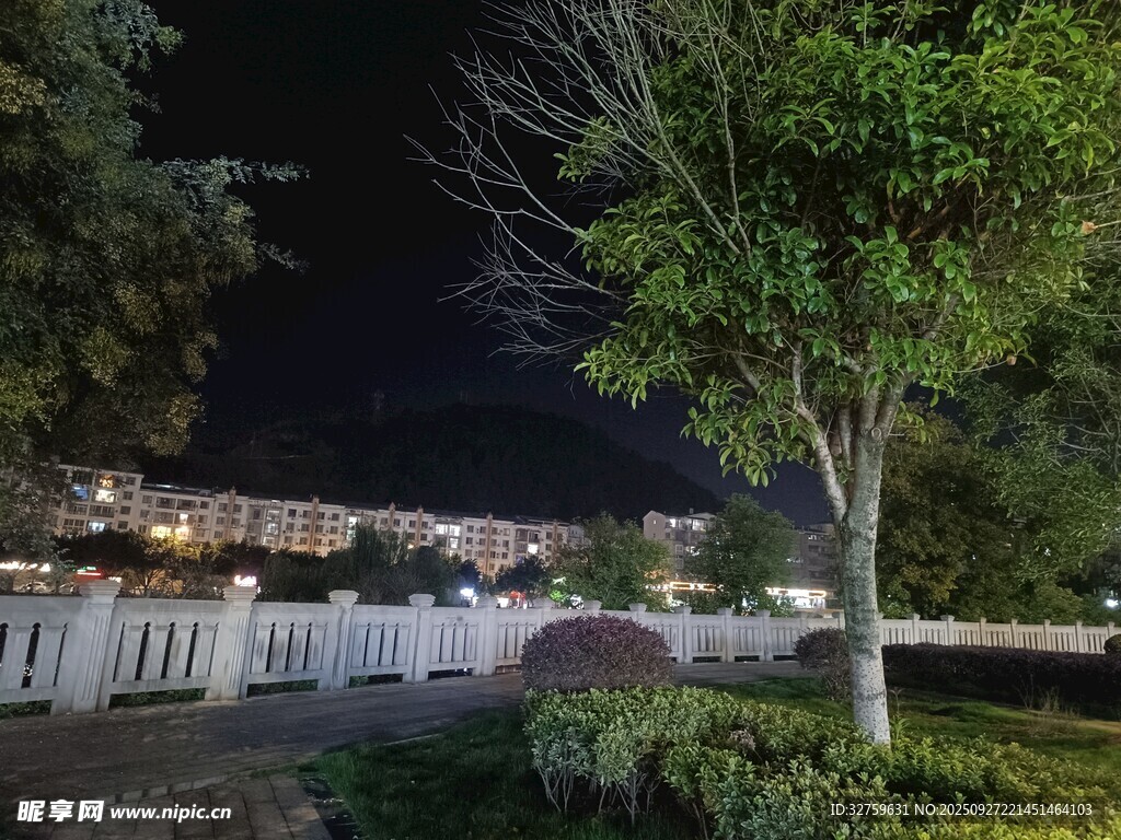 夜晚小區(qū)綠植景觀